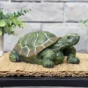 Sunnydaze Decor Sunnydaze Indoor/Outdoor Lifelike Terrance The Tortoise Patio Garden Yard Entryway Decorative Statue - 9" 1 Sunnydaze Decor Sunnydaze Indoor/Outdoor Lifelike Terrance The Tortoise Patio Garden Yard Entryway Decorative Statue - 9" -Home Decor Shop GUEST d92a79c6 d3f5 46b3 b150 27ee720e9956