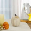Northlight 6.25" White Pumpkin Autumn Harvest Thanksgiving Tabletop Decoration 1 Northlight 6.25" White Pumpkin Autumn Harvest Thanksgiving Tabletop Decoration -Home Decor Shop GUEST da4bf3a0 4bd4 4fe5 b3e5 9a94fee9b476