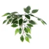 Vickerman Artificial Variegated Ficus Series 2 Vickerman Artificial Variegated Ficus Series -Home Decor Shop GUEST ddd94c58 a882 4586 a81a 9e0608756f0a