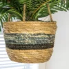 30" X 16" Artificial Phoenix Palm Plant In Hanging Basket - LCG Florals 2 30" X 16" Artificial Phoenix Palm Plant In Hanging Basket - LCG Florals -Home Decor Shop GUEST e04f8db0 5933 4b04 af41 fd095138bfcb
