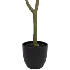 Northlight 4' Artificial Unbraided Potted Green Money Tree -Home Decor Shop GUEST e07a198c 4d81 44ed 9a41 88abf5d8b9f8