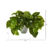 Nearly Natural 9-in Pothos Artificial Plant In White Planter (Real Touch) 1 Nearly Natural 9-in Pothos Artificial Plant In White Planter (Real Touch) -Home Decor Shop GUEST e40fff37 0a8c 410d bb61 1d5003fa3d04