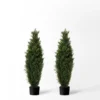 Forever Leaf 36" Cedar Boxwood In Black Pot (2 Pack), Indoor Artificial Plant For Home Decor -Home Decor Shop GUEST ea1d144b 93b6 4940 86e9 2b872ac31ce7