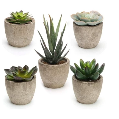 MPM Artificial Succulent Plants Potted, Assorted Decorative Faux Succulent Potted Fake Cactus Cacti Plants With Pots, For Office, Living Room Set Of 5 3 MPM Artificial Succulent Plants Potted, Assorted Decorative Faux Succulent Potted Fake Cactus Cacti Plants With Pots, For Office, Living Room Set Of 5