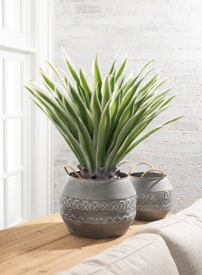Sullivans Artificial Potted Varigated Agave 26"H Green 5 Sullivans Artificial Potted Varigated Agave 26"H Green - Image 3