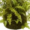 13" X 17" Artificial Fern Plant With Twig And Moss Basket- Nearly Natural 1 13" X 17" Artificial Fern Plant With Twig And Moss Basket- Nearly Natural -Home Decor Shop GUEST f09914aa c631 4d02 aeec a88d47977002