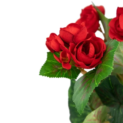 Northlight 11" Red Potted Silk Begonia Spring Artificial Floral Arrangement 5 Northlight 11" Red Potted Silk Begonia Spring Artificial Floral Arrangement - Image 3