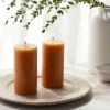 2pk Pillars Vanilla Pumpkin Orange - Threshold™ 1 2pk Pillars Vanilla Pumpkin Orange - Threshold™ -Home Decor Shop GUEST fa13aebd 398f 4e50 af52 3d1987ab4a55