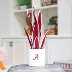 Forever Leaf University Of Alabama Faux Snake Plant, Indoor Artificial Plant For Home Decor 10 Forever Leaf University Of Alabama Faux Snake Plant, Indoor Artificial Plant For Home Decor -Home Decor Shop GUEST fe8fddb1 1ed2 4585 831c 87443c068c46