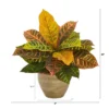Nearly Natural 15-in Garden Croton Artificial Plant In Ceramic Planter (Real Touch) -Home Decor Shop GUEST feb15ebf 9463 470b a611 acf2617603f7