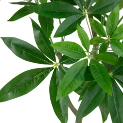 Northlight 4' Artificial Unbraided Potted Green Money Tree -Home Decor Shop GUEST fec5ce88 9406 4d1b a61d 799b0ec18f35